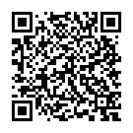 QR code for 335733