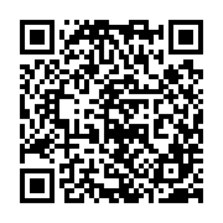 QR code for 335786