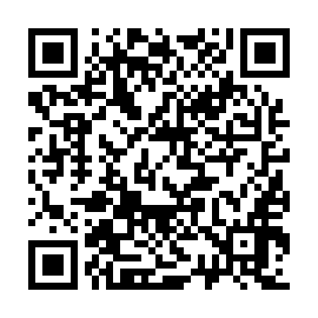 QR code for 336156