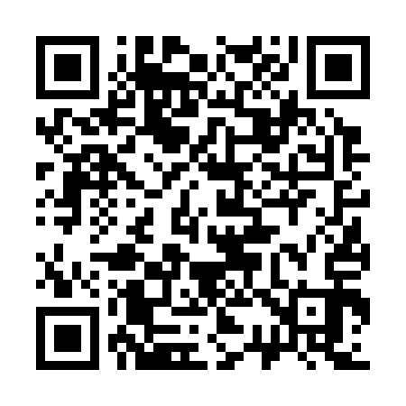 QR code for 336313