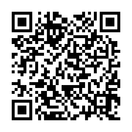 QR code for 336317