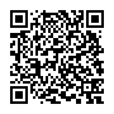 QR code for 336638