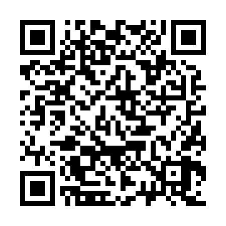 QR code for 336868