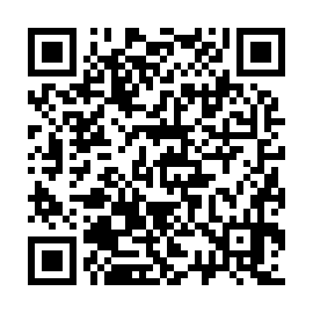 QR code for 336974