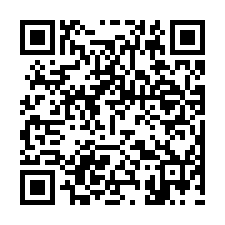 QR code for 337250