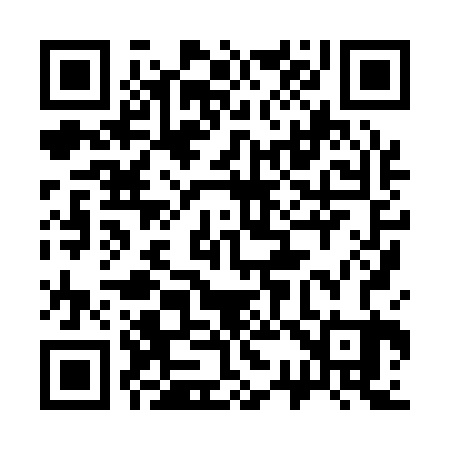 QR code for 338123