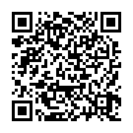 QR code for 338228