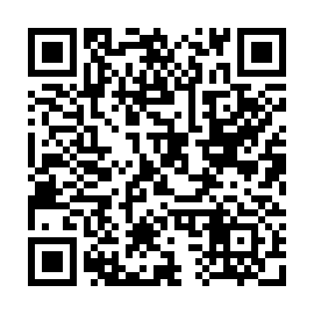QR code for 338333