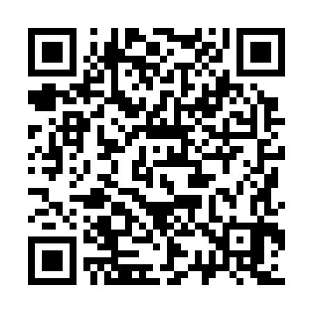 QR code for 338383
