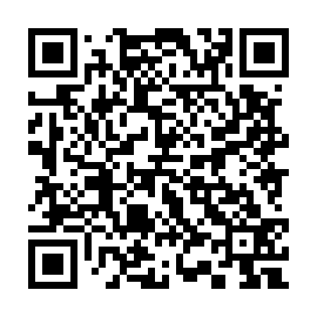 QR code for 338533