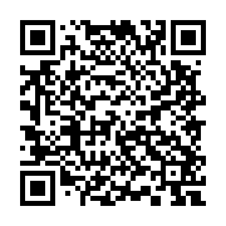 QR code for 338542