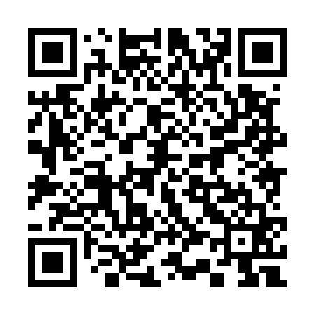 QR code for 338561