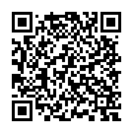QR code for 338563