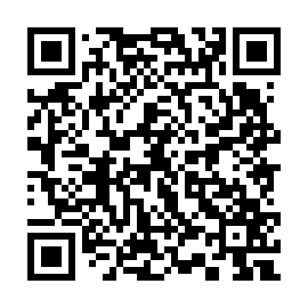 QR code for 338667