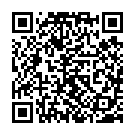 QR code for 338698