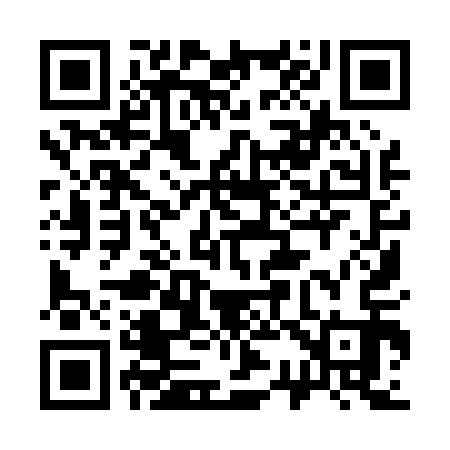 QR code for 339013