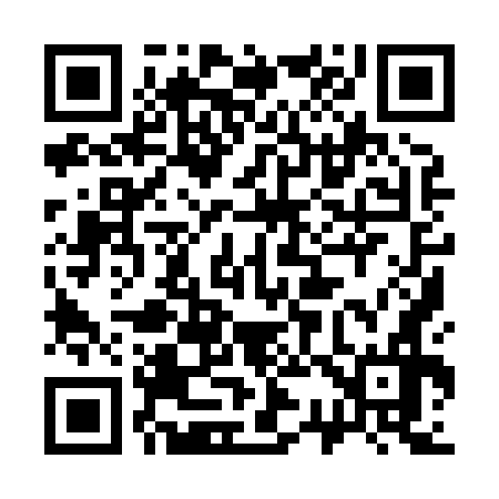 QR code for 339876