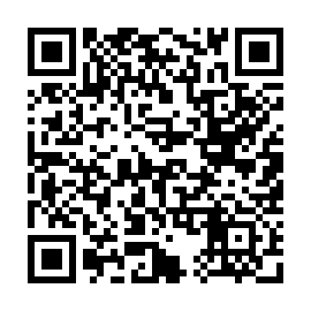 QR code for 355333