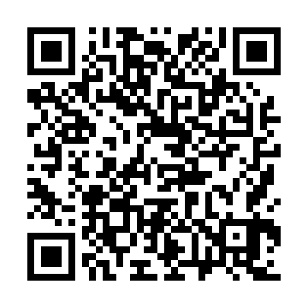 QR code for 368063
