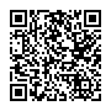 QR code for 368334