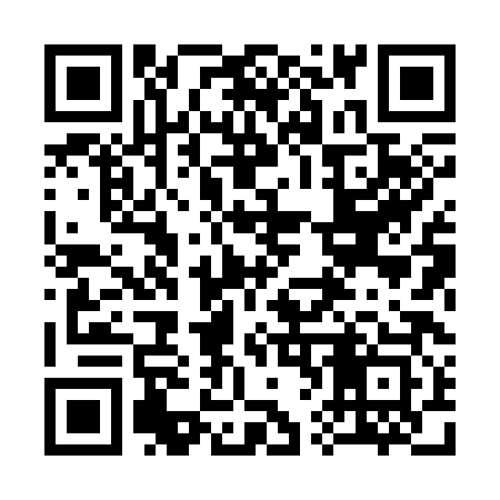 QR code for 368383