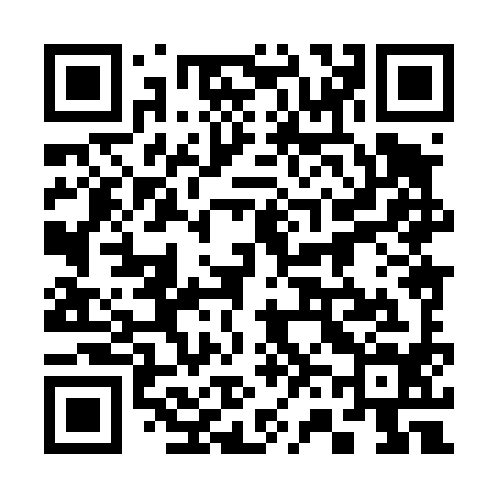 QR code for 368494