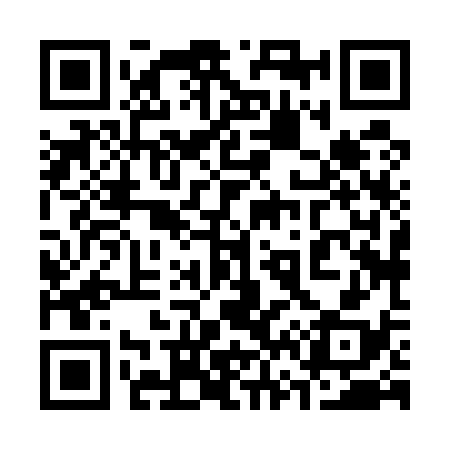 QR code for 368538