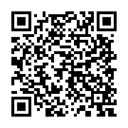 QR code for 368541