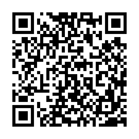 QR code for 368636