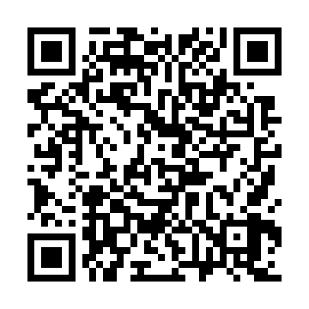 QR code for 368768