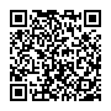 QR code for 368938