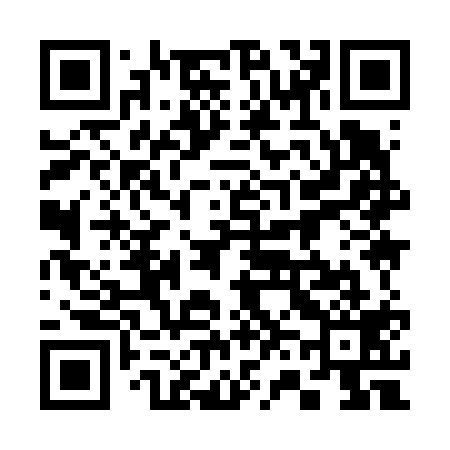 QR code for 369619