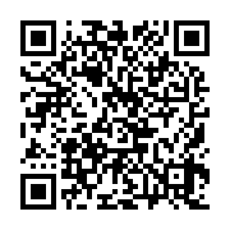 QR code for 369938