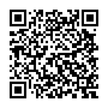 QR code for 370011