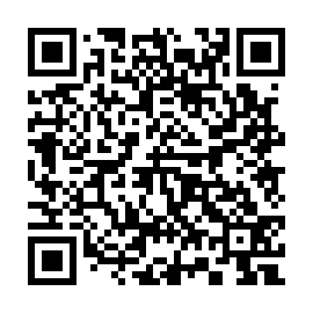 QR code for 370133