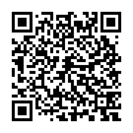 QR code for 370378