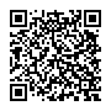 QR code for 370463