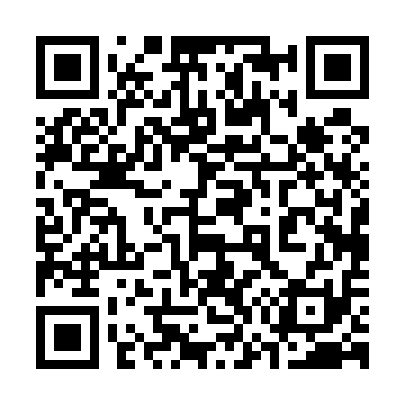 QR code for 370511