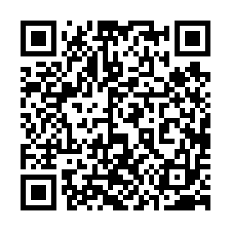 QR code for 370613