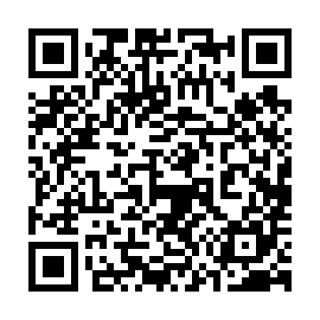 QR code for 370685