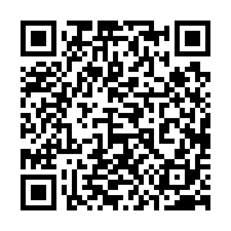 QR code for 370710