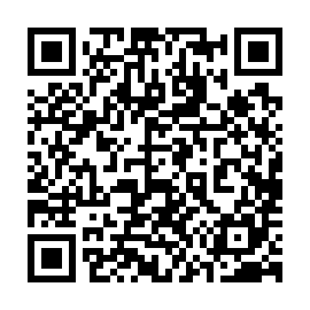 QR code for 370785
