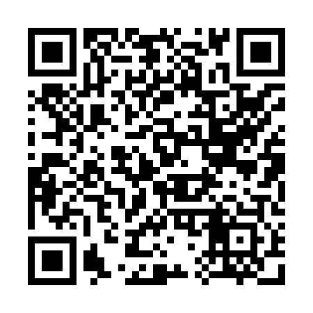 QR code for 370803