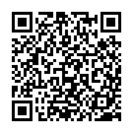 QR code for 371241