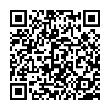 QR code for 374119