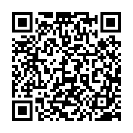 QR code for 374263