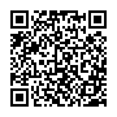 QR code for 374542