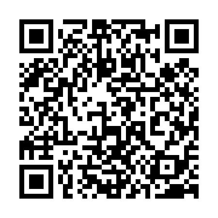 QR code for 375419