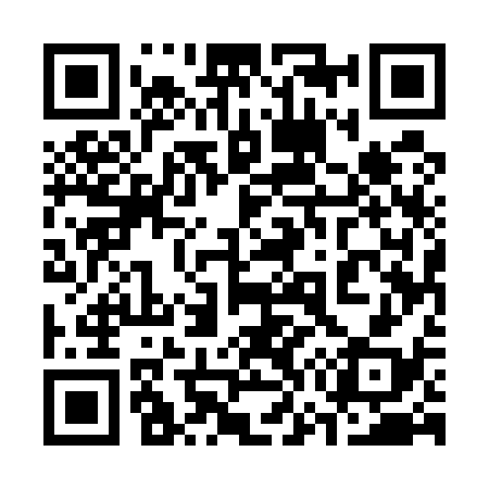QR code for 375538