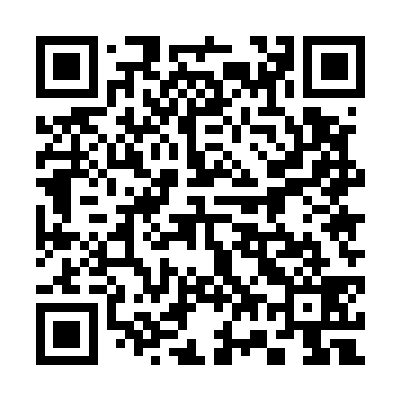 QR code for 375539